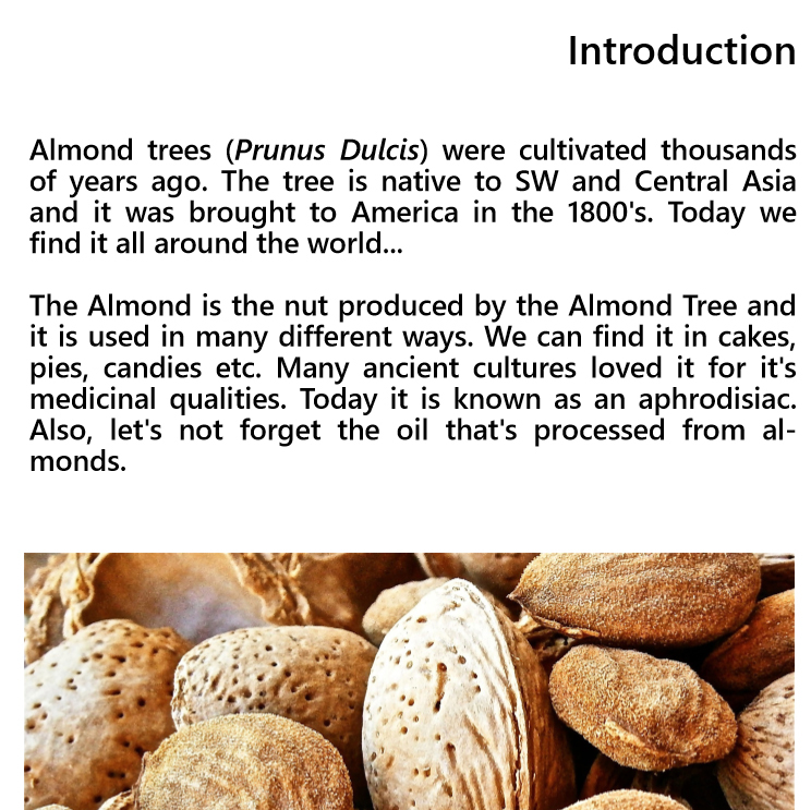 Growing an almond tree - Edition 1 - Book interior - 3