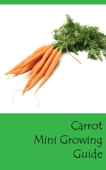 Carrot mini growing guide - front cover